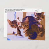 Laurie, Larry u. Louie Ankündigungspostkarte (Vorne/Hinten)