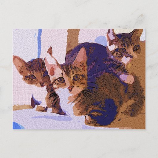 Laurie, Larry u. Louie Ankündigungspostkarte (Vorderseite)