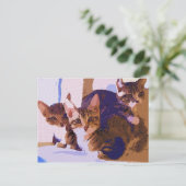 Laurie, Larry u. Louie Ankündigungspostkarte (Stehend Vorderseite)