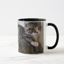 Laurie, Larry u. Louie Tasse