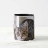 Laurie, Larry u. Louie Tasse (Zentrum)