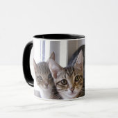 Laurie, Larry u. Louie Tasse (Vorderseite Links)