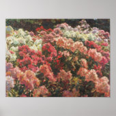 Laurits Tuxen - Rhododendron In Tuxen's Garden Poster (Vorne)