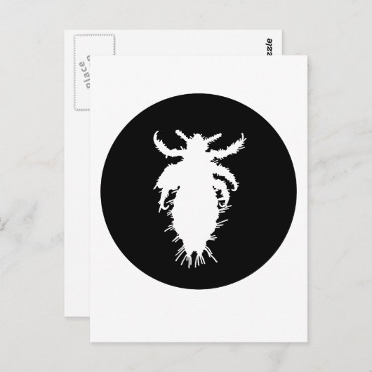Läuse Postkarte (Vorne/Hinten)