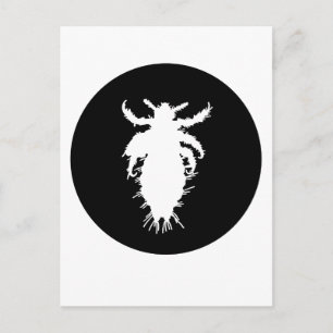 Läuse Postkarte