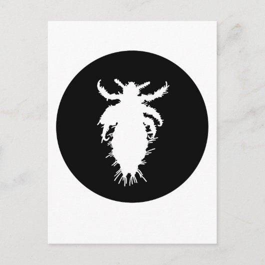 Läuse Postkarte (Vorderseite)