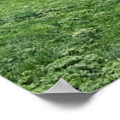 Lauterbrunnen Poster (Ecke)