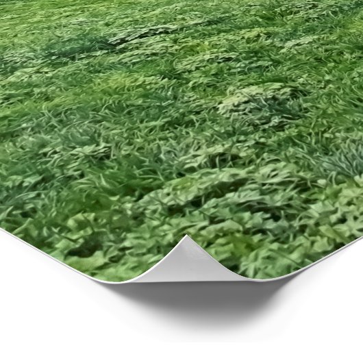 Lauterbrunnen Poster (Ecke)