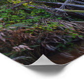 Lautsprecher in Nipa Palm auf der Halbinsel Klias  Poster (Ecke)