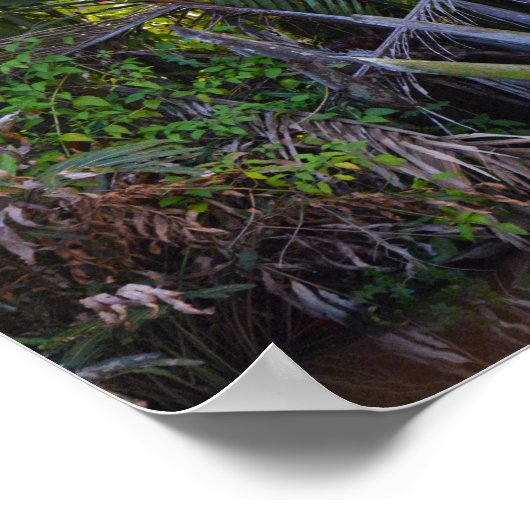 Lautsprecher in Nipa Palm auf der Halbinsel Klias  Poster (Ecke)