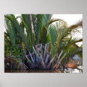 Lautsprecher in Nipa Palm auf der Halbinsel Klias  Poster (Vorne)