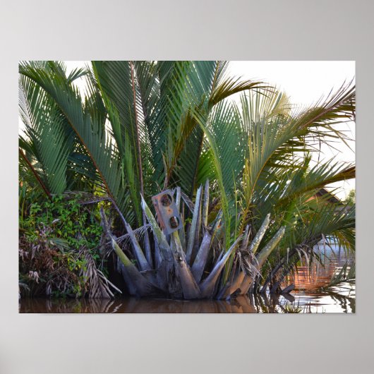 Lautsprecher in Nipa Palm auf der Halbinsel Klias  Poster (Vorne)