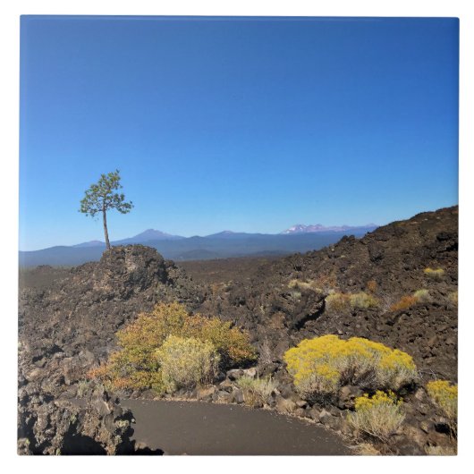 Lava Butte Trail, OR Fliese (Vorderseite)