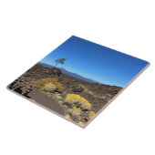 Lava Butte Trail, OR Fliese (Seite)