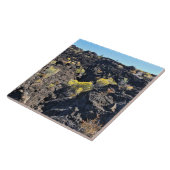 Lava Butte Trail, OR Fliese (Seite)