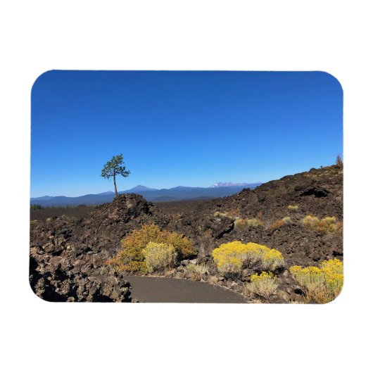 Lava Butte Trail, OR Magnet (Horizontal)