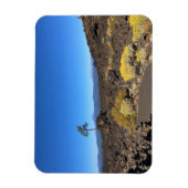 Lava Butte Trail, OR Magnet (Vertikal)