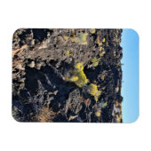 Lava Butte Trail, OR Magnet (Horizontal)