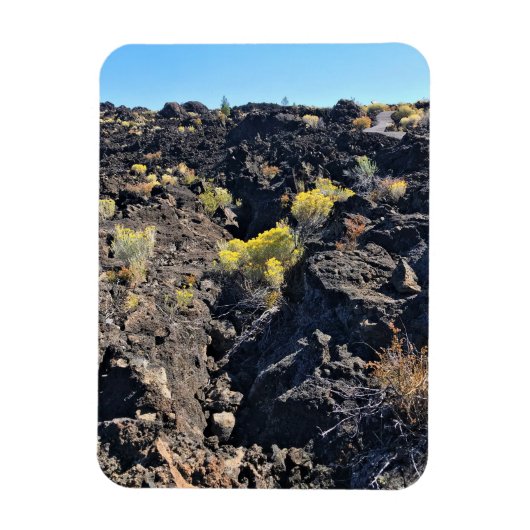 Lava Butte Trail, OR Magnet (Vertikal)
