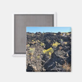 Lava Butte Trail, Oregon Magnet (Vorderseite/Rückseite)