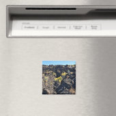Lava Butte Trail, Oregon Magnet (In Situ (Geschirrspüler))