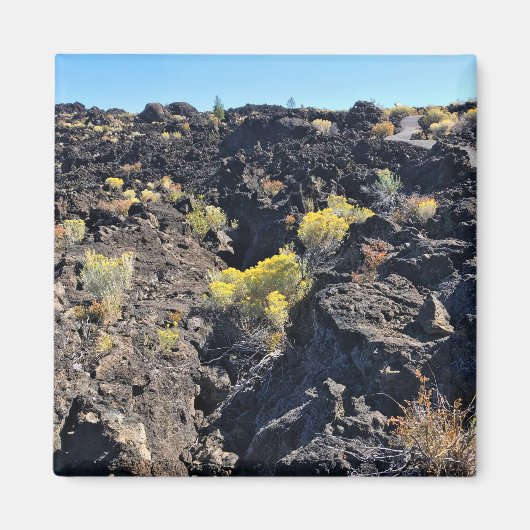 Lava Butte Trail, Oregon Magnet (Vorne)