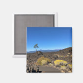 Lava Butte Trail, Oregon Magnet (Vorderseite/Rückseite)