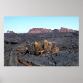 Lava Cacti Poster (Vorne)