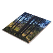Lava Cast Forest, OR Fliese (Seite)
