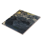 Lava Cast Forest, OR Fliese (Seite)