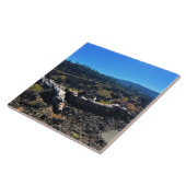 Lava Cast Forest, OR Fliese (Seite)