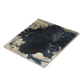 Lava Cast Forest, OR Fliese (Seite)