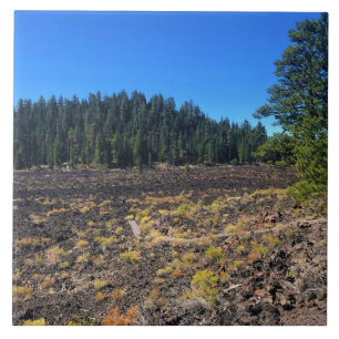 Lava Cast Forest, OR Fliese
