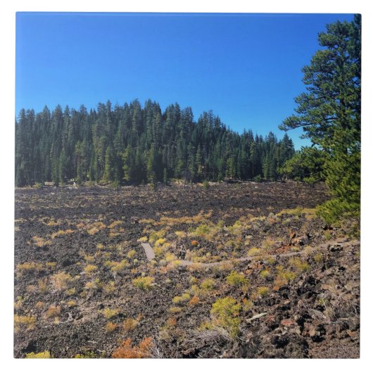 Lava Cast Forest, OR Fliese (Vorderseite)