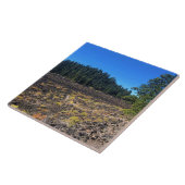 Lava Cast Forest, OR Fliese (Seite)