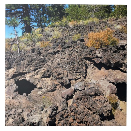 Lava Cast Forest, OR Fliese (Vorderseite)