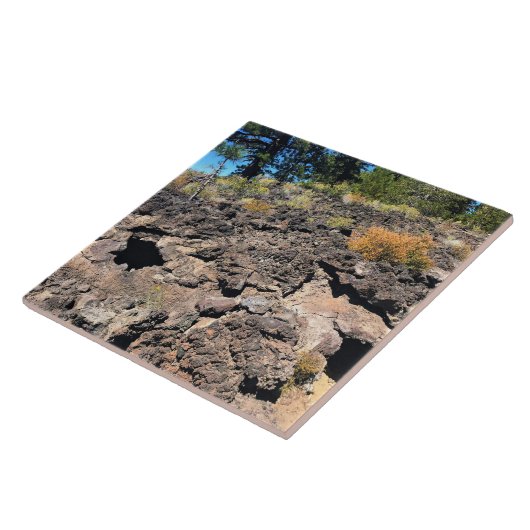 Lava Cast Forest, OR Fliese (Seite)