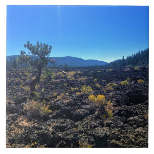 Lava Cast Forest, OR Fliese