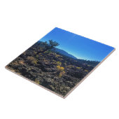 Lava Cast Forest, OR Fliese (Seite)