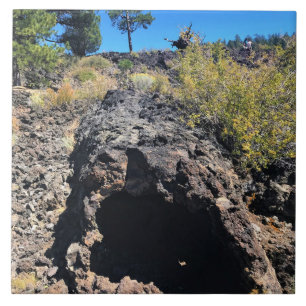 Lava Cast Forest, OR Fliese