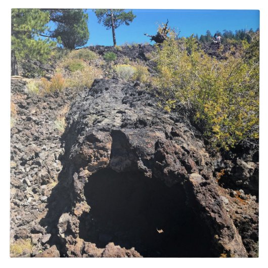 Lava Cast Forest, OR Fliese (Vorderseite)