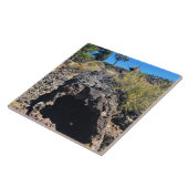 Lava Cast Forest, OR Fliese (Seite)