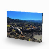 Lava Cast Forest, OR Fotoblock (Rechts)