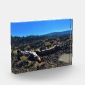 Lava Cast Forest, OR Fotoblock (Links)