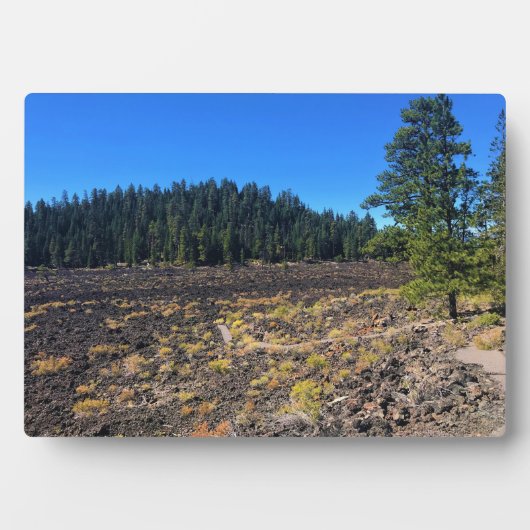 Lava Cast Forest, OR Fotoplatte (Vorderseite)