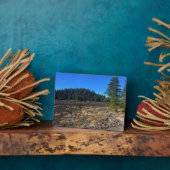 Lava Cast Forest, OR Fotoplatte (Seite)