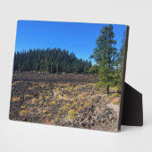 Lava Cast Forest, OR Fotoplatte (Seite)