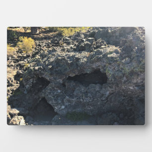 Lava Cast Forest, OR Fotoplatte