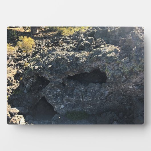 Lava Cast Forest, OR Fotoplatte (Vorderseite)