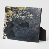 Lava Cast Forest, OR Fotoplatte (Seite)